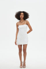 Fiona Lace Mini Dress