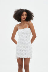 Fiona Lace Mini Dress